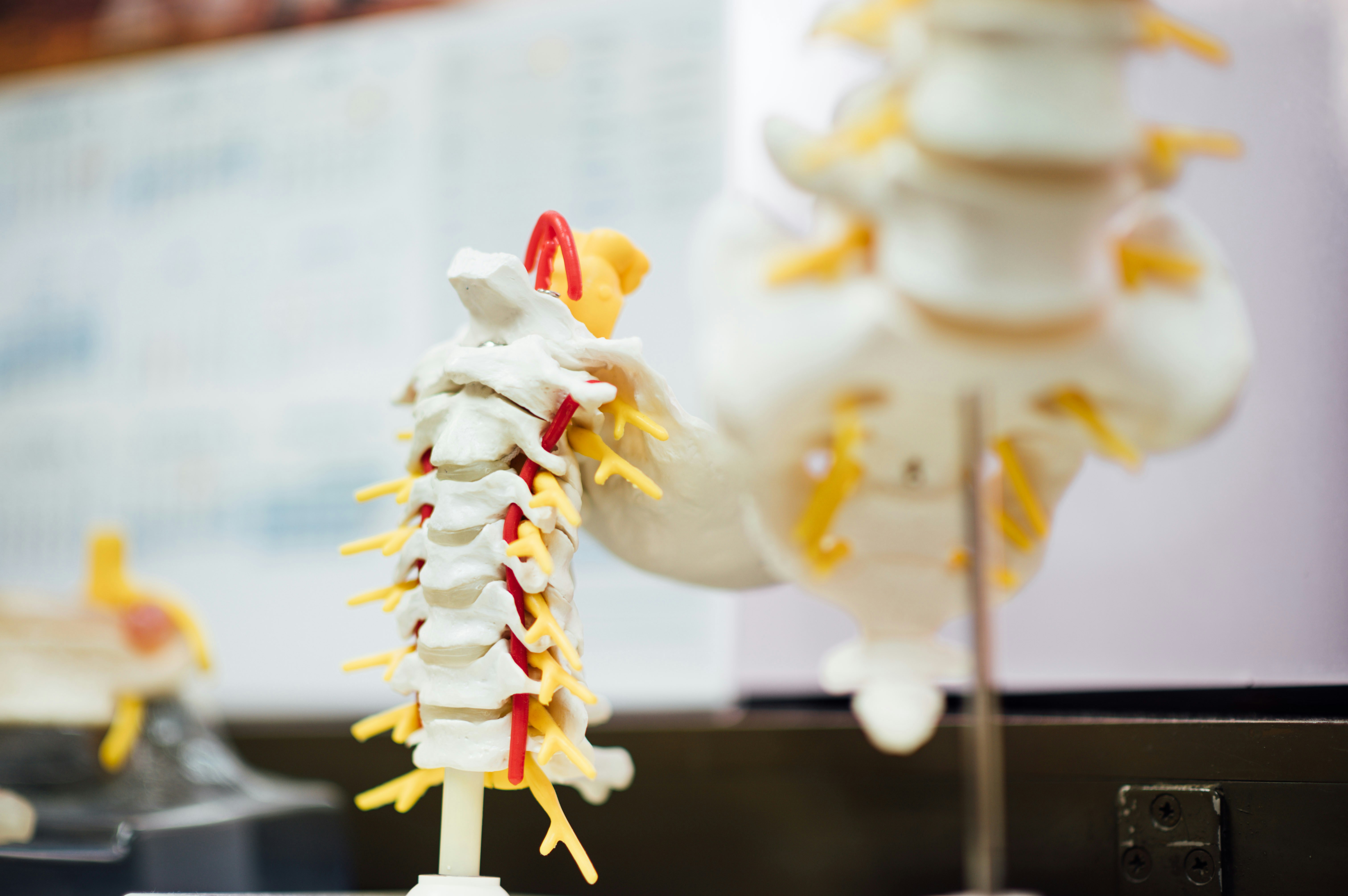 Stronger Bones After 35: 5 Evidence-Backed Habits Every Woman Can Start Today
